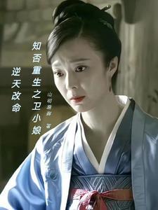 知否卫小娘
