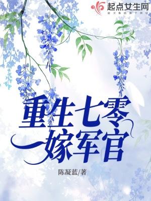 重生七零嫁军官陆霆苏研