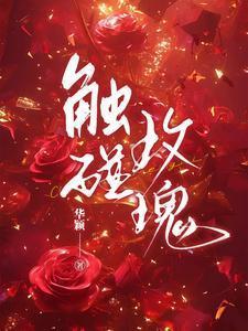 触碰玫瑰全文免费阅读最新章节更新