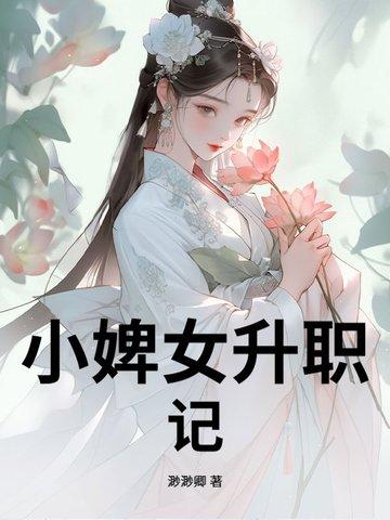 婢女升职记1至100集
