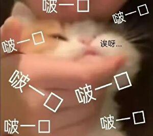 图南是什么典故