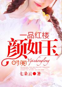 红楼之一品夫人