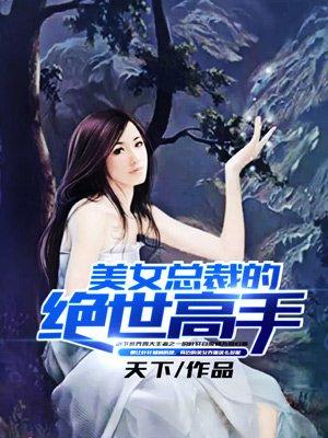 美女总裁的绝世高手有几个女主