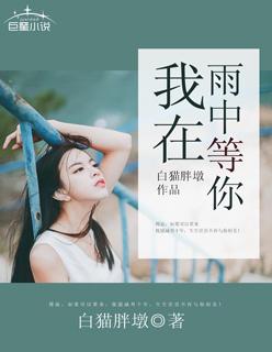 我在雨中等你txt