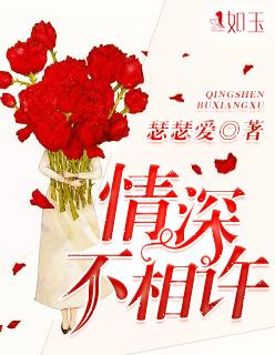 情深不再许免费阅读