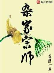 杂家宗师有声