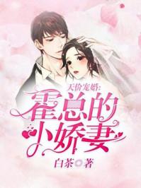 天价宠妻霍总小娇妻