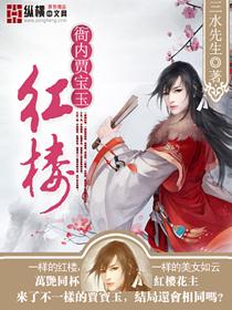 红楼外传贾宝玉