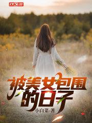 被美女包围的日子介绍
