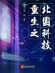 类似重生之北国科技的