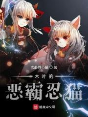 木叶之恶霸忍猫