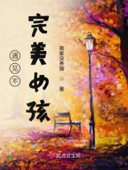 不完美的女孩表达什么