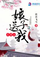 娘子送我上青云免费阅读
