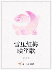 雪压梅花啥意思