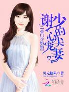 豪门少奶奶谢少的心尖宠妻全本免费