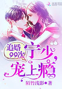 夜少第99次追妻