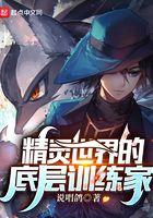 精灵世界的底层训练家境界划分