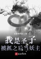 玄幻我成为圣子有点慌