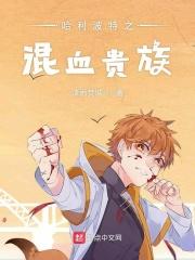哈利波特混血王子在线
