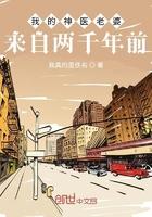 我的神医老婆来自两千年后