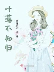 落叶不知归处