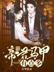 帝君的马甲有点多